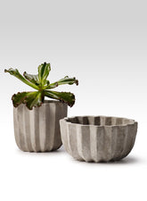 Atelier 8 x 4in Cement Pleated Pot