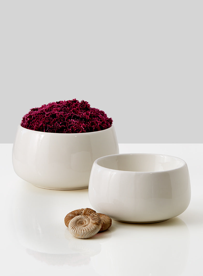 6 Â¾in &amp; 8in Low White Ceramic Bowls