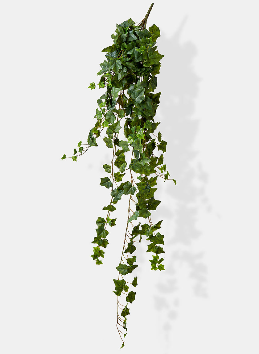 51in English Ivy Hanger