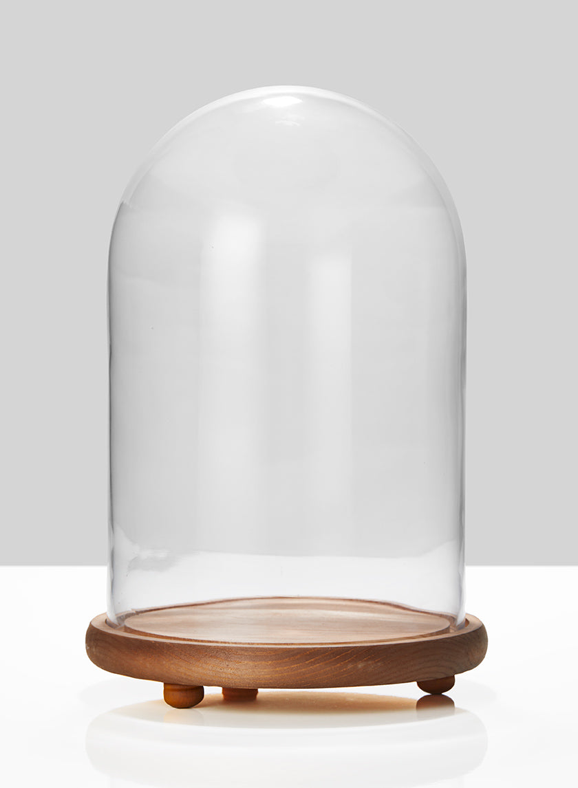 10 x 15in Glass Cloche On Wood Base