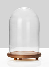 10 x 15in Glass Cloche On Wood Base