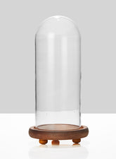 5 1/2 x 13in Glass Cloche On Wood Base