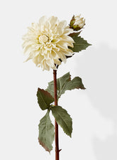 33in Cream Dahlia