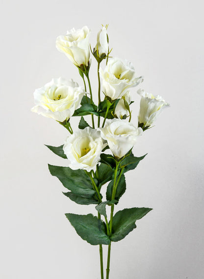 21in Cream Lisianthus Spray