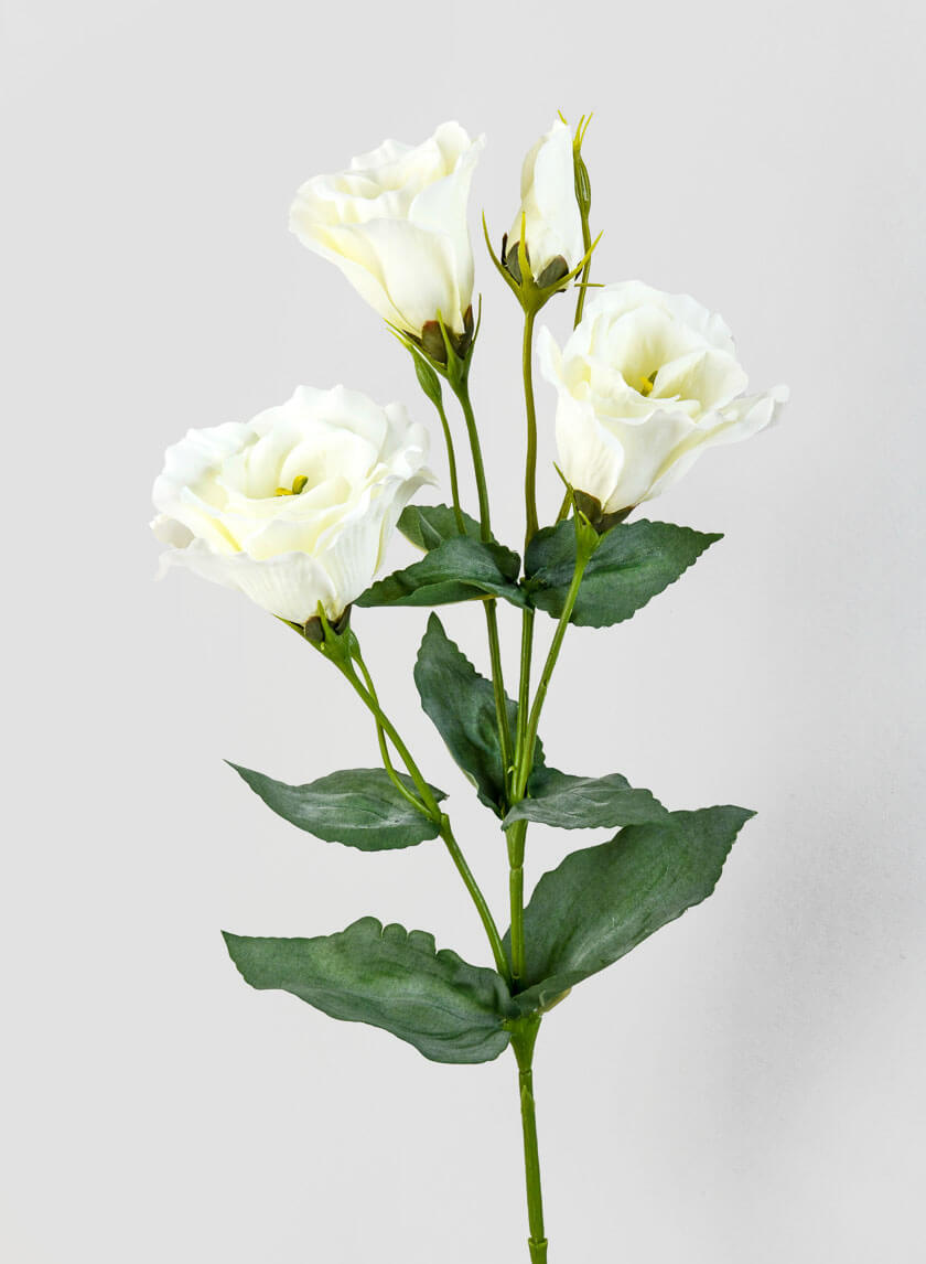 21in Cream Lisianthus Spray