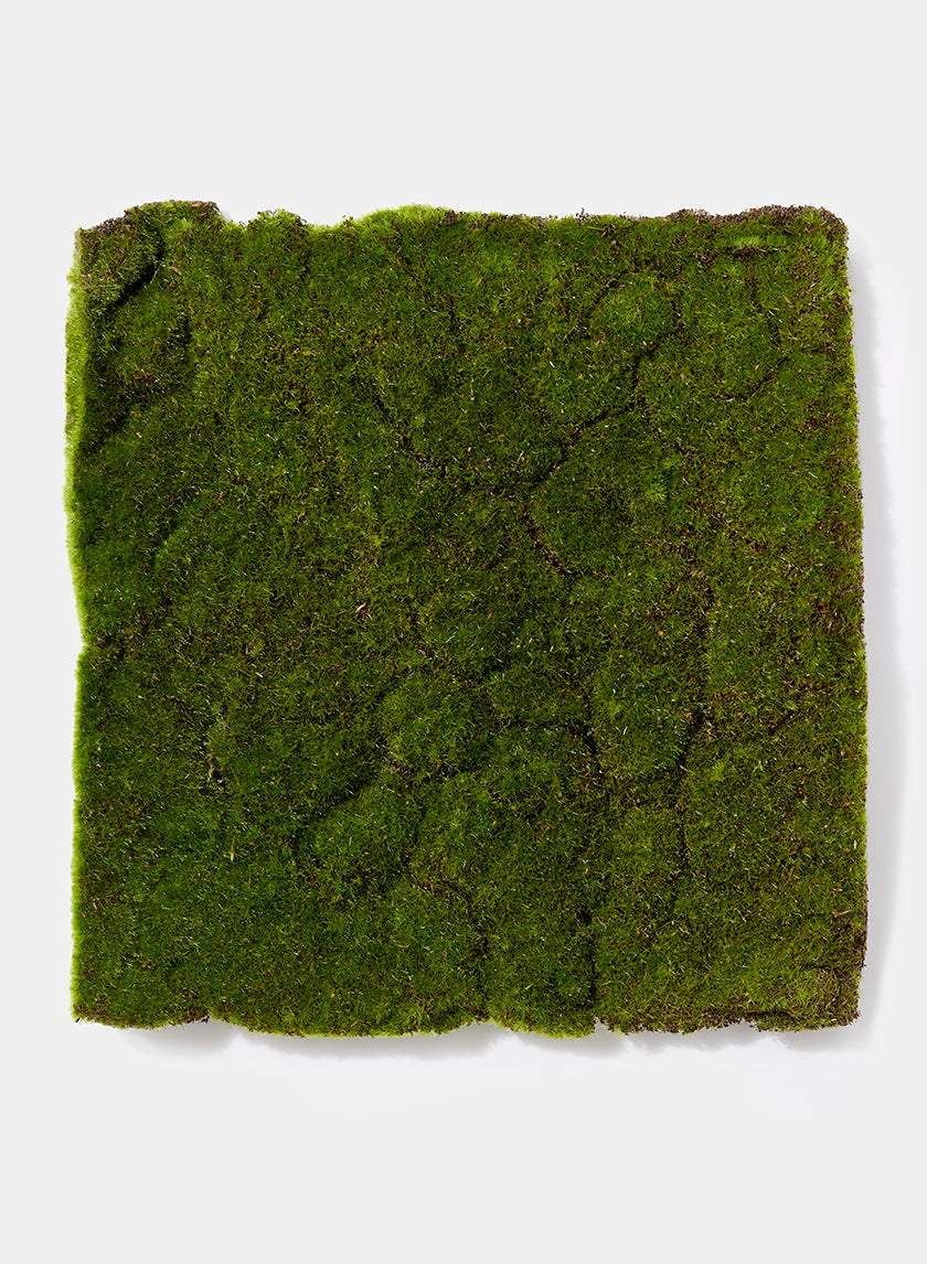 Modern Square online Faux Mini Moss Trees