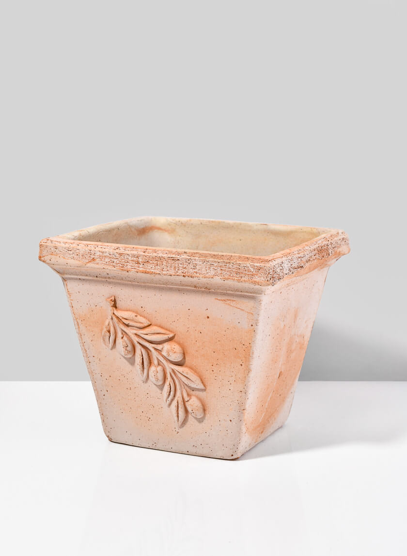 Quadra Olive Square Pot