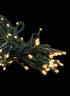 100-Light Warm White L.E.D. Lights With Green Cord