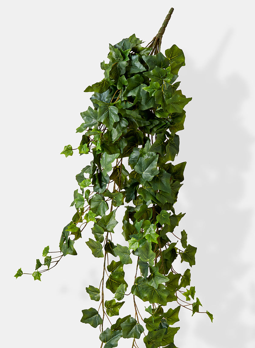 51in English Ivy Hanger