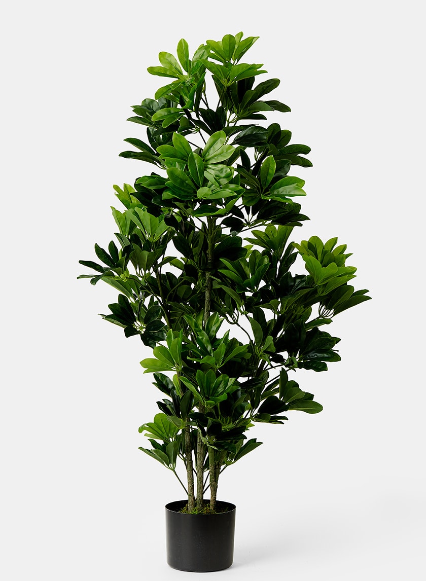 44in Tall Artificial Schefflera Tree