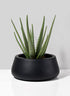 16in Pyxis Black Fiberstone Bowl