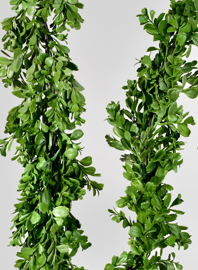 6ft Boxwood Garland