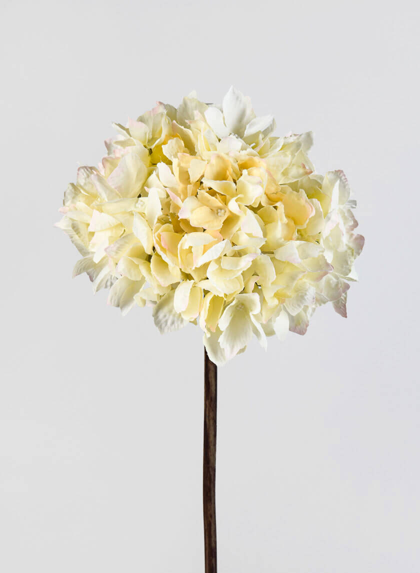 20in Cream Single Hydrangea Spray