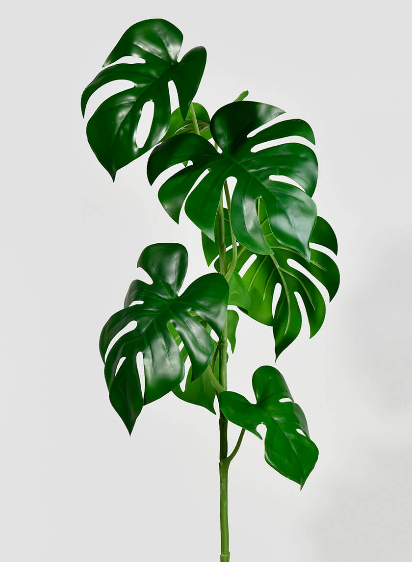 28in Small Monstera Leaf Spray