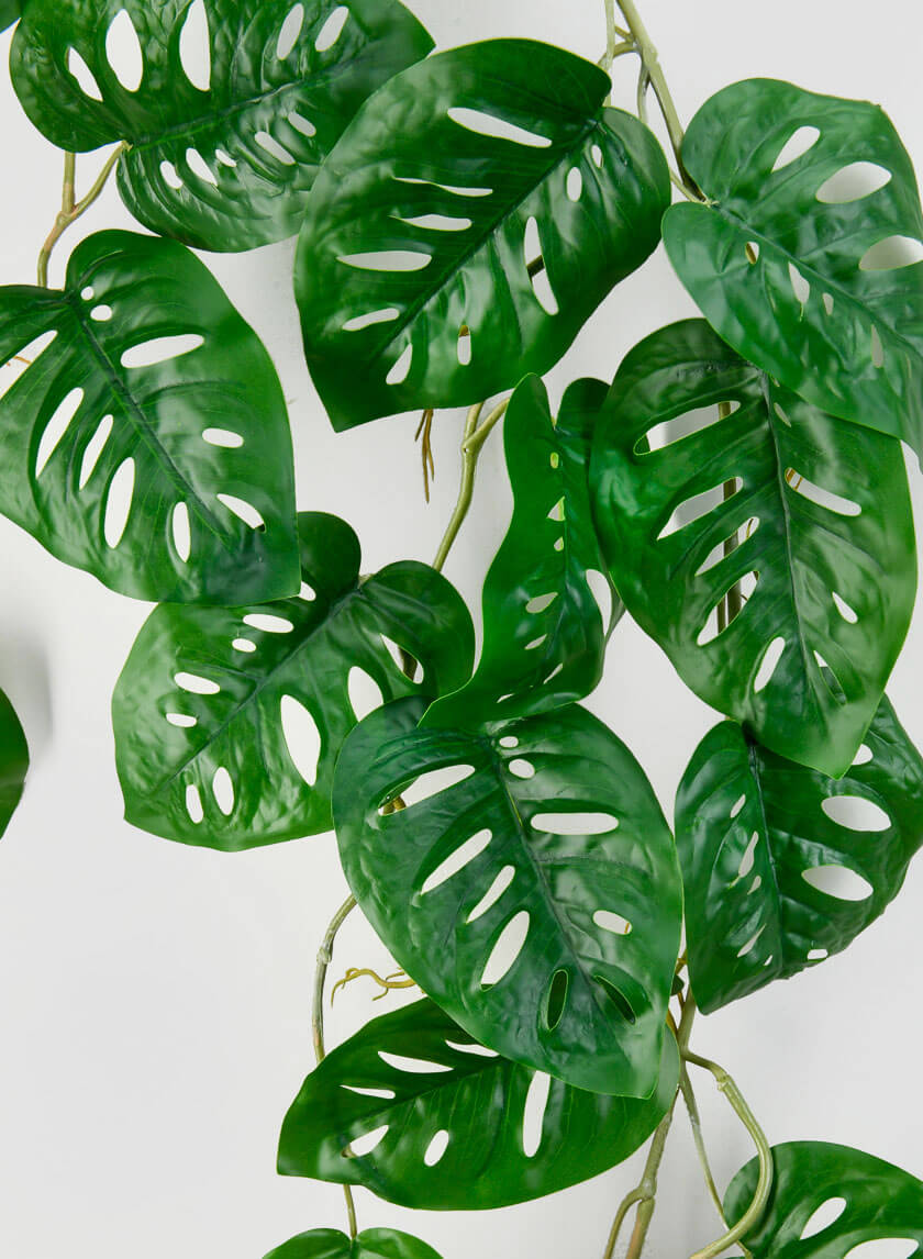 47in Swiss Cheese Monstera Leaf Vine