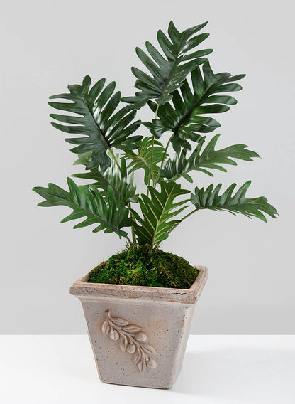 Quadra Olive Square Pot