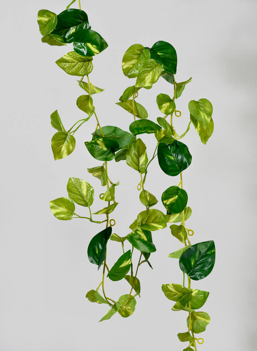 6ft Pothos Garland