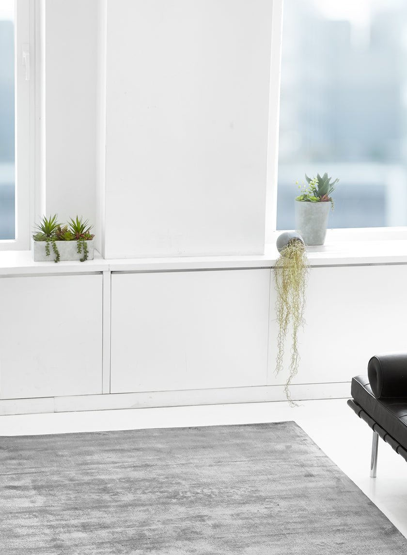 Flocked Spanish Moss In Wall Pot