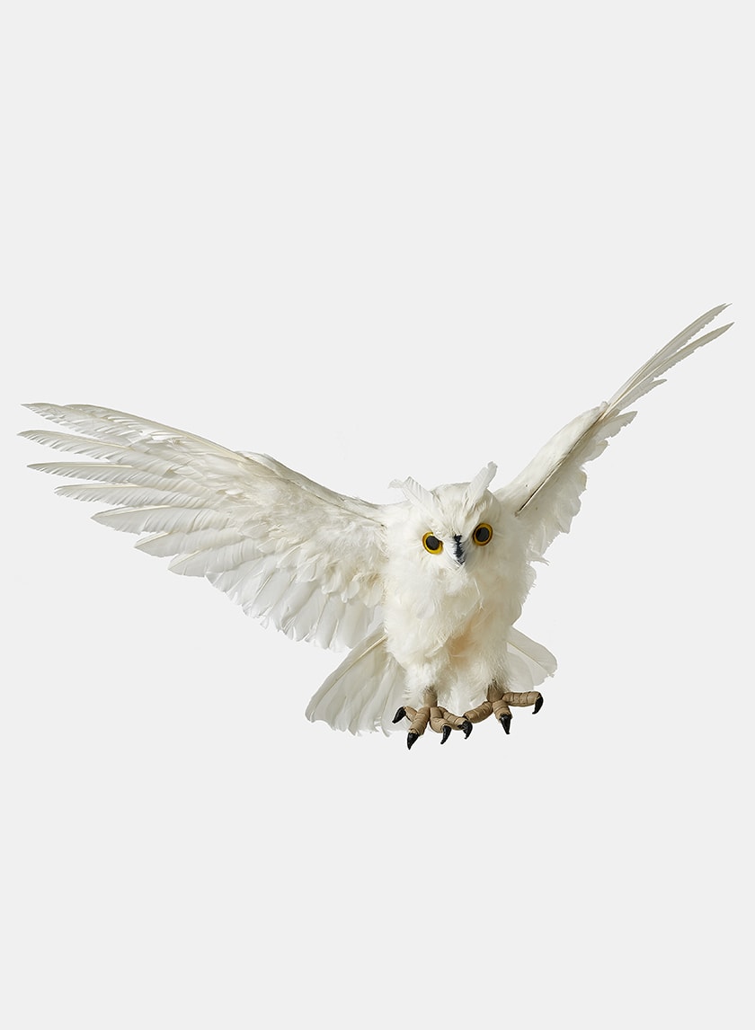 28in Flying White Owl