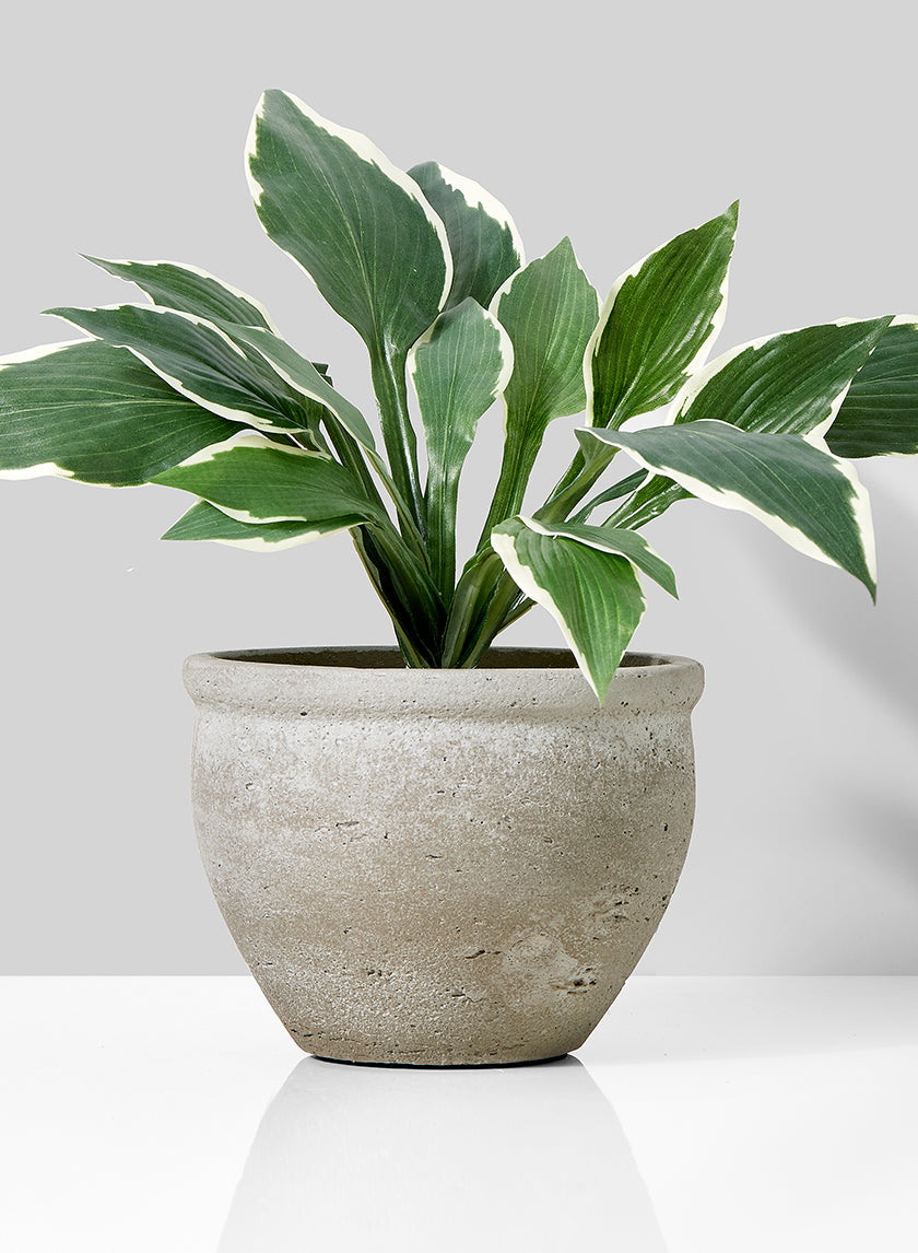 9in Round Natural Cement Fishbowl Pot