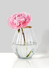 6in Gold Rim Balloon Glass Vase