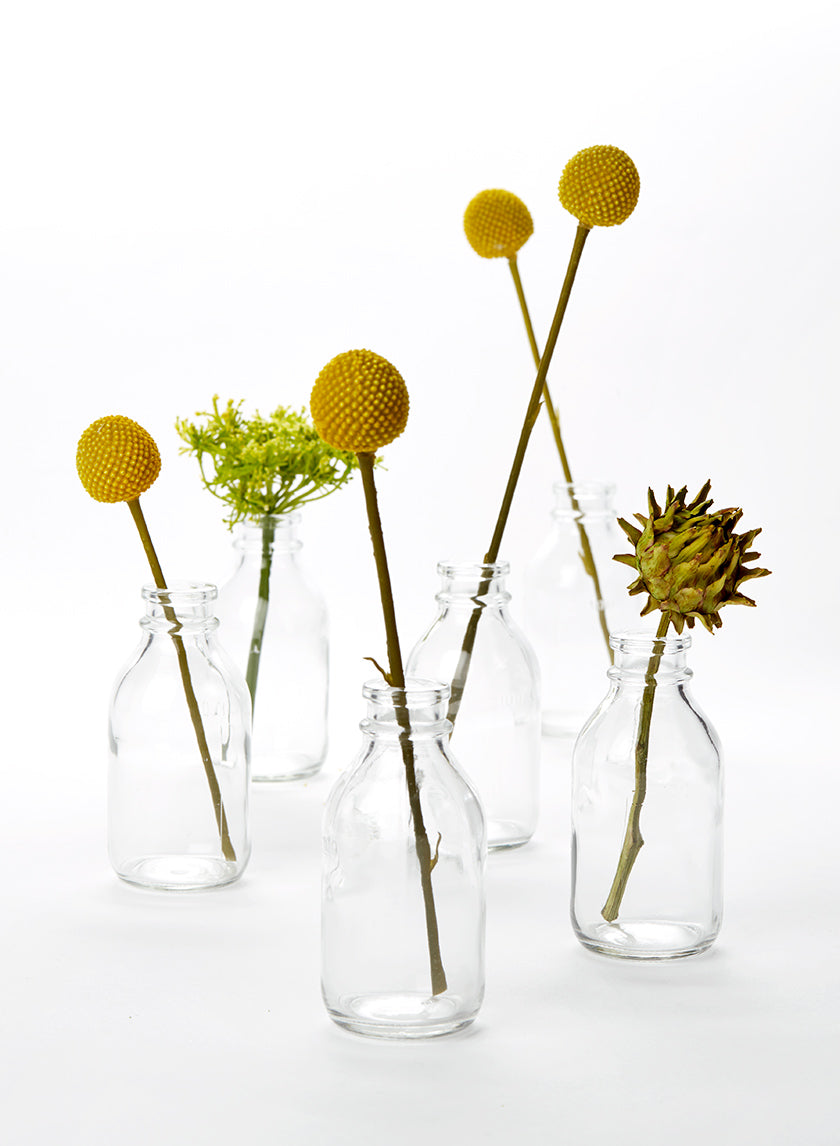 Clear Glass Mini Milk Bottle Vase