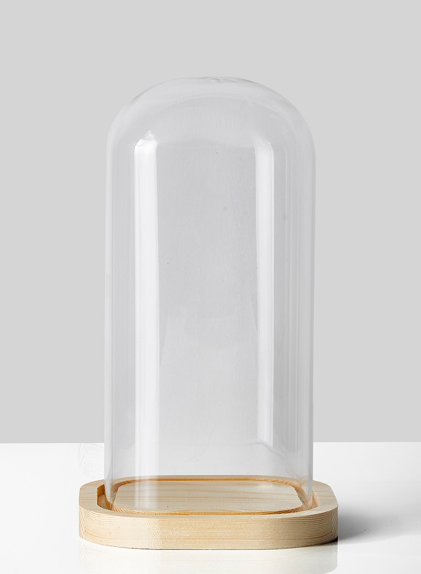 10in High Square Glass Cloche With A Wood Base