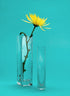 2 1/2 x 10in Square Glass Vase