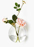 4  3/4in Glass Ball Wall Vase