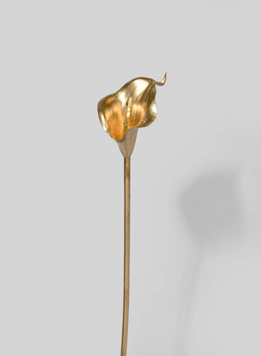 Gold Calla Lily Stem