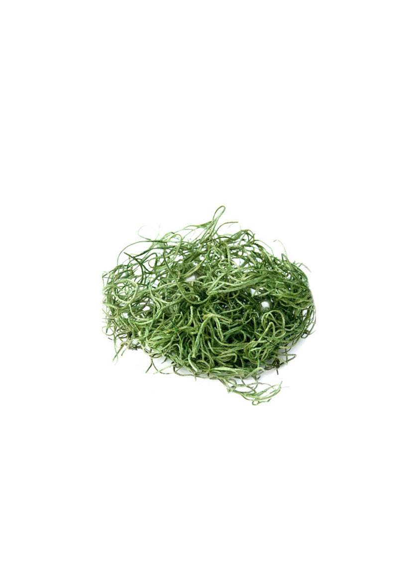 SuperMoss Grass Green Preserved Spanish Moss