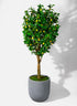 21  3/4in Uovo Light Gray Planter