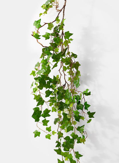 5ft Green Ivy Vine