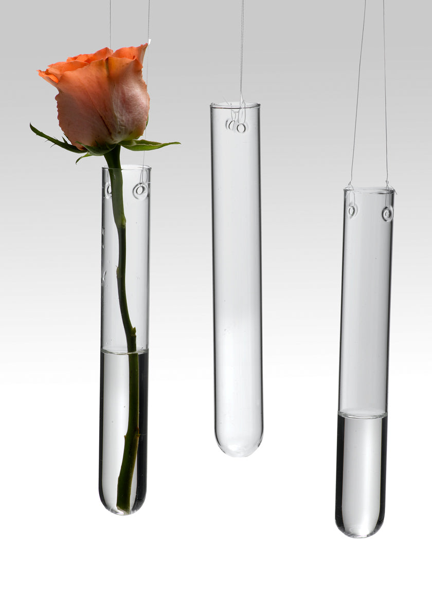 Hanging Tube Vases