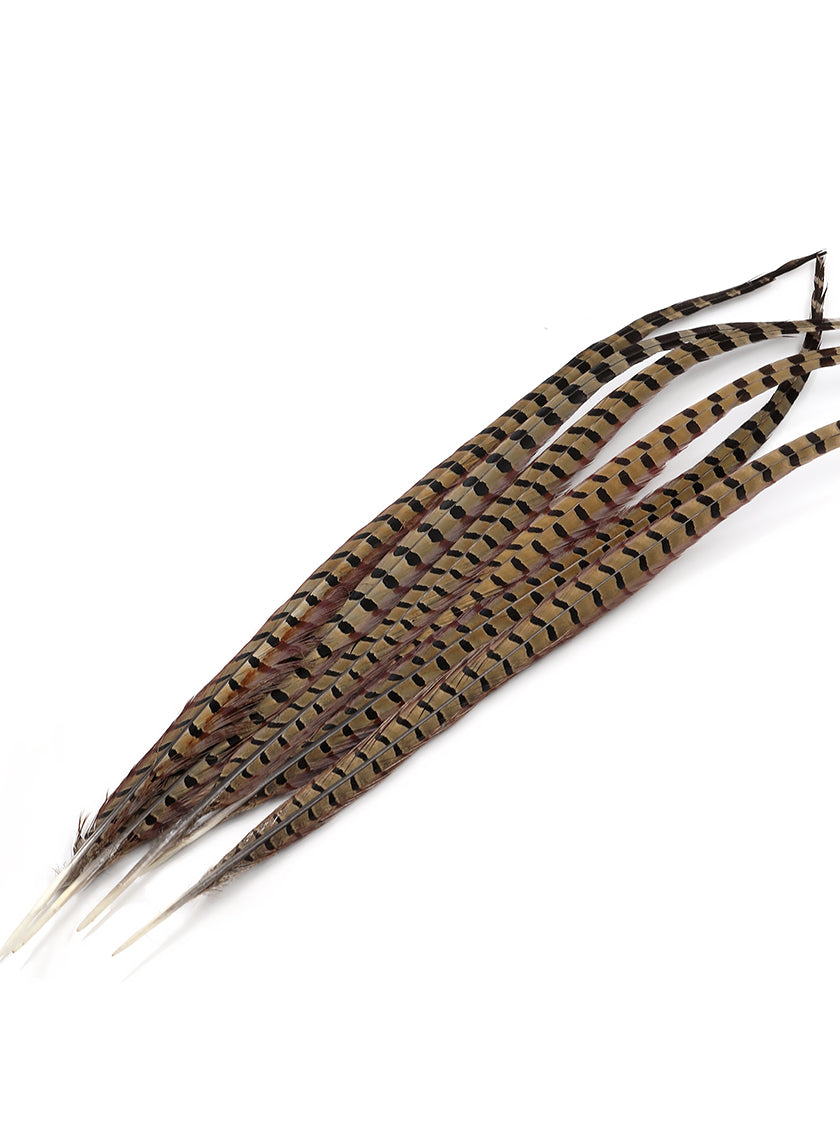 24-26in Natural Ringneck Pheasant Tail