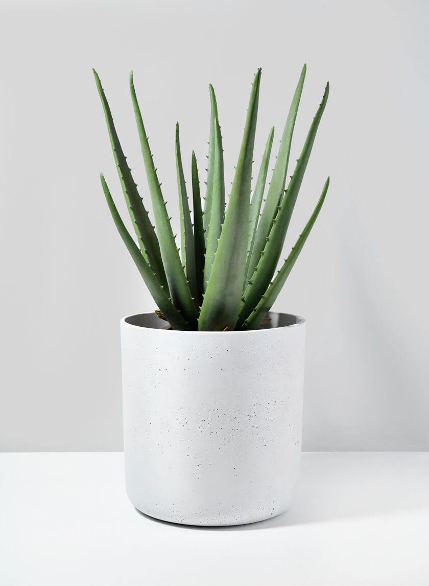 White Cycl Sandstone Pots