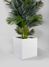 19  3/4n Kyvika Matte White Fiberstone Square Pot