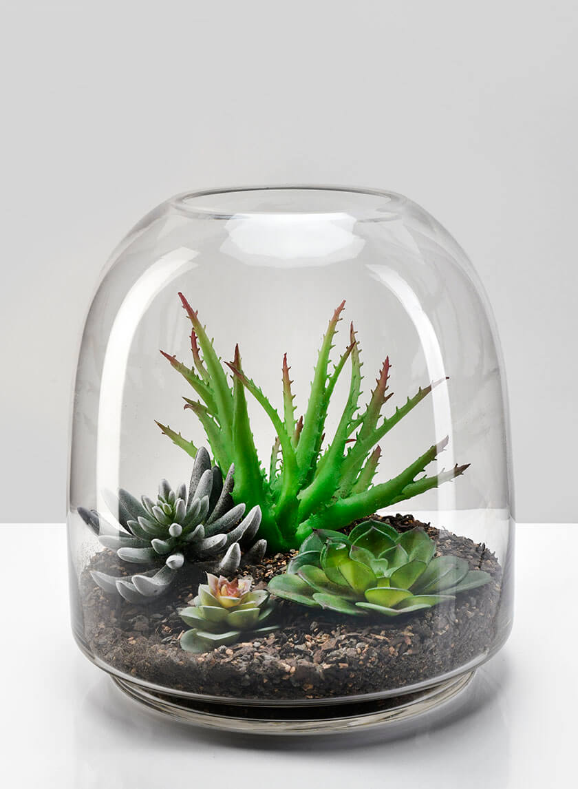 Large Victoria Glass Terrarium