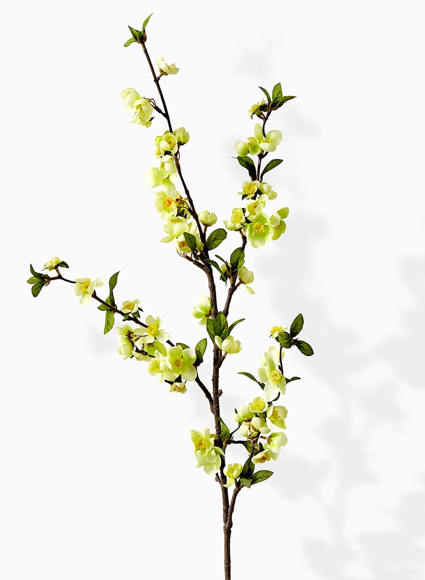 39in White Apple Blossom Branch