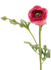 27in Light Red Ranunculus