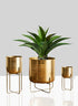 12 Â¾in, 23in, & 26in High Gold Soho Planter With Stand