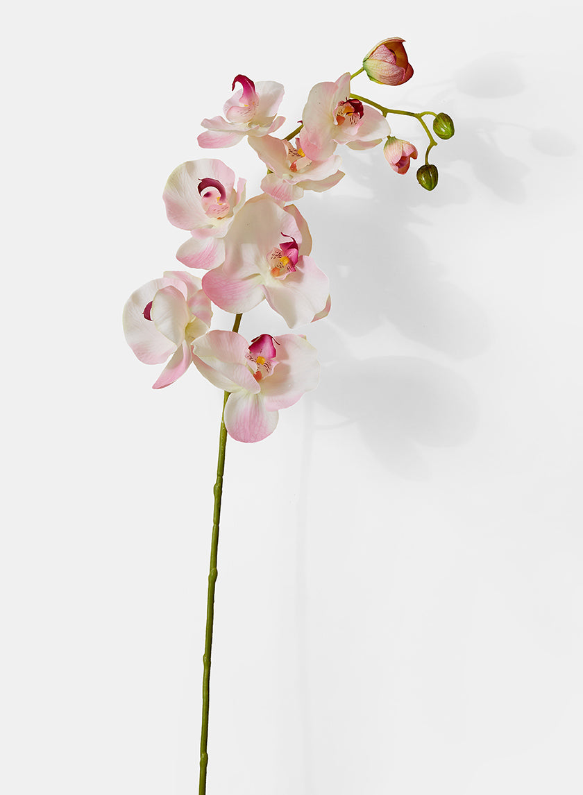 43in Light Pink Phalaenopsis Orchid Spray