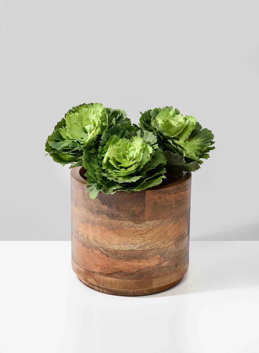 Salma Medium Wood Cachepot