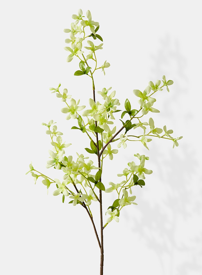 40in Pale Green Forsythia Spray