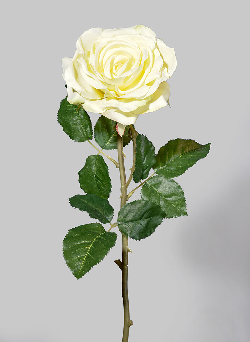 29in Pale Yellow Cabbage Rose