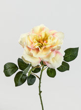 24  1/2in Pink & Cream Provence Rose Spray