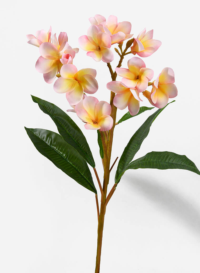 35in Pink Frangipani Spray