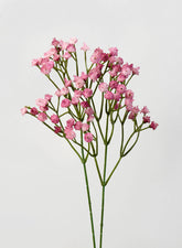 16in Blush Gypsophila Spray