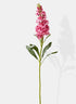 31in Pink Snapdragon