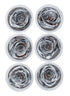 Preserved Silver Roses